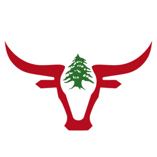 BEIRUT FARMS MEAT TRADING L.L.C place picture