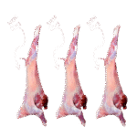 Local Dabeha Fresh Meat - 3 Pieces